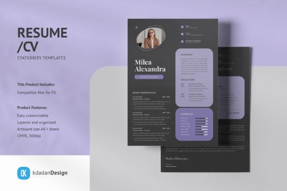 Elevate Your Job Hunt: A Look at Resume/CV PSD Design Templates Vol 164